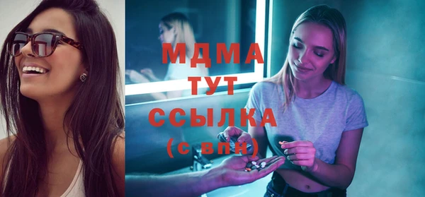 тгк Ельня