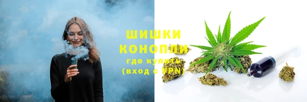 тгк Ельня