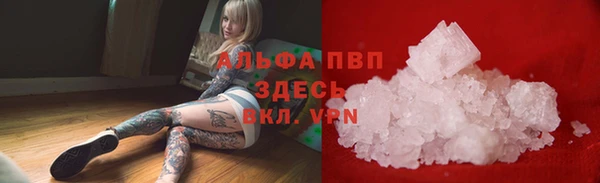 СК Елабуга