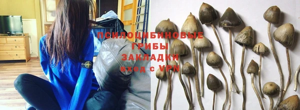кокаин премиум Дмитровск