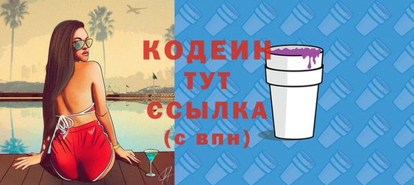 тгк Ельня