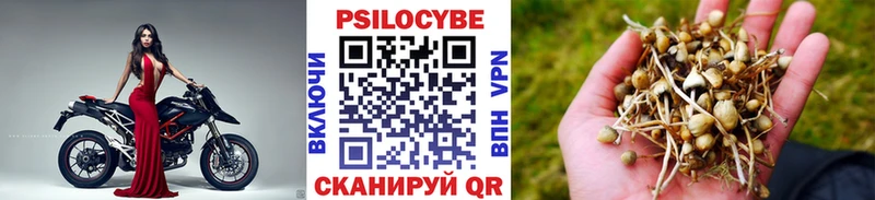 Галлюциногенные грибы Psilocybine cubensis Змеиногорск