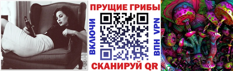 Галлюциногенные грибы мицелий  Купить где  Змеиногорск 